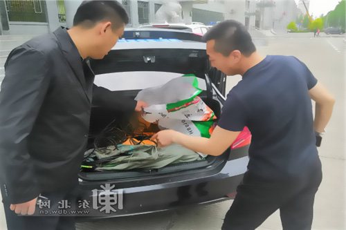 盜竊電線電纜