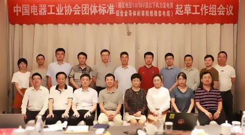 中國(guó)電器工業(yè)協(xié)會(huì)與遠(yuǎn)東電纜起草工作會(huì)